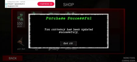 Cursed house Multiplayer - Free in-app purchases