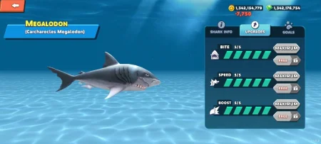 Hungry Shark Evolution - Upgrades